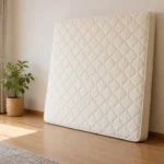 壁に立てかけた、表面に破れのないマットレス